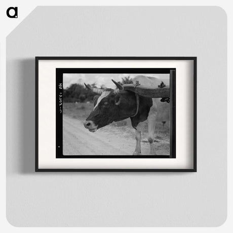 1-33_Dorothea-Lange_blk
