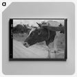 1-33_Dorothea-Lange_canvas