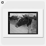1-33_Dorothea-Lange_picture