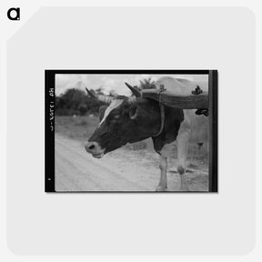 1-33_Dorothea-Lange_postcard