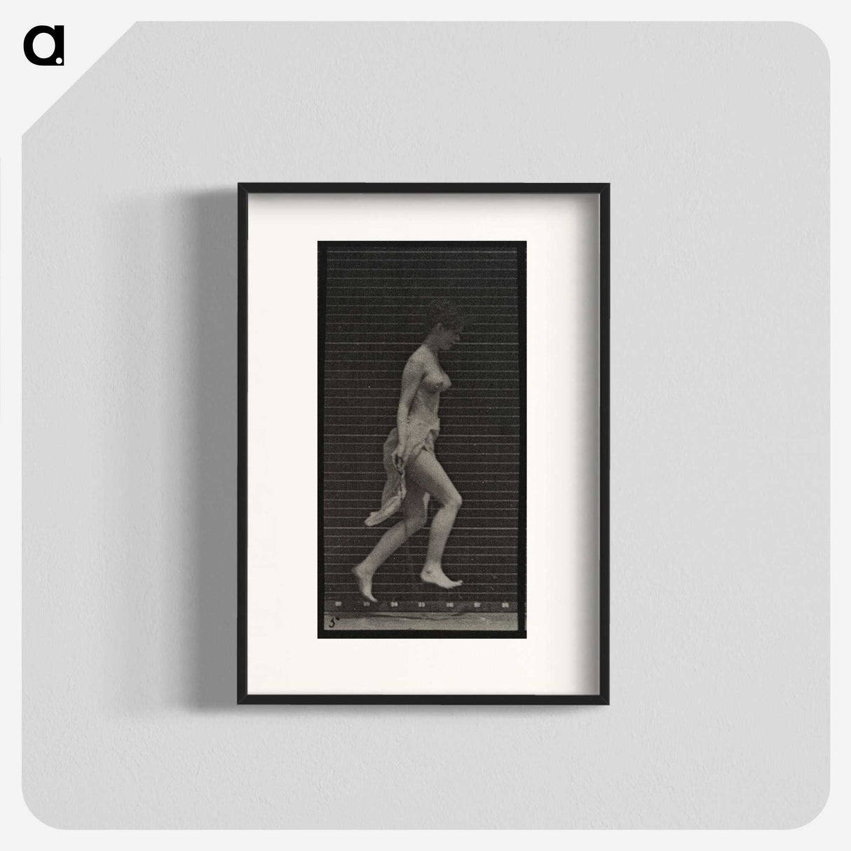 1-33_Eadweard-Muybridge_blk