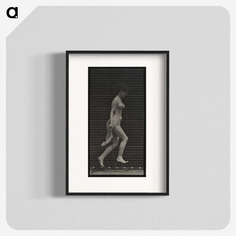 1-33_Eadweard-Muybridge_blk