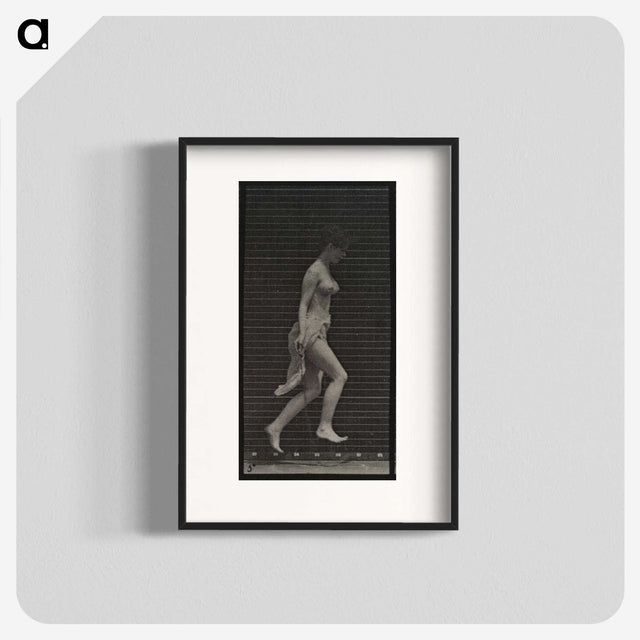 1-33_Eadweard-Muybridge_blk