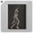 1-33_Eadweard-Muybridge_canvas