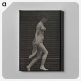 1-33_Eadweard-Muybridge_canvas