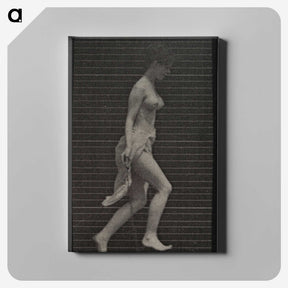 1-33_Eadweard-Muybridge_canvas