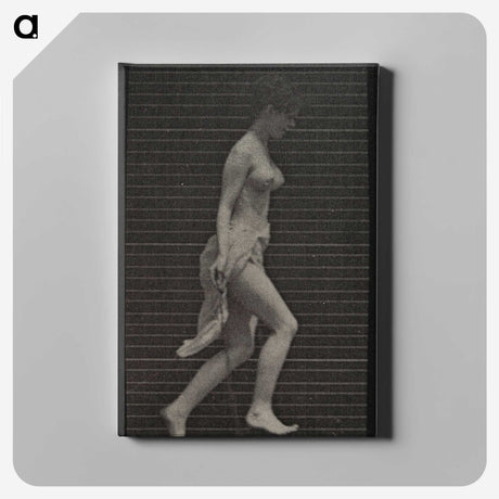 1-33_Eadweard-Muybridge_canvas