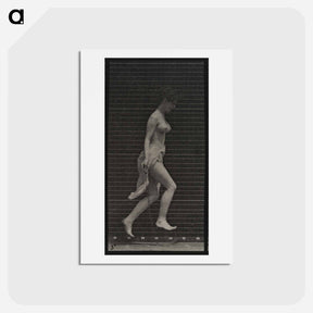 アートポストカード-Skipping Woman
 - エドワード マイブリッジ Postcard.