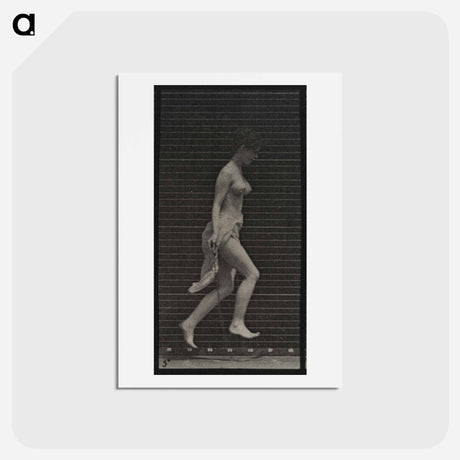 アートポストカード-Skipping Woman
 - エドワード マイブリッジ Postcard.