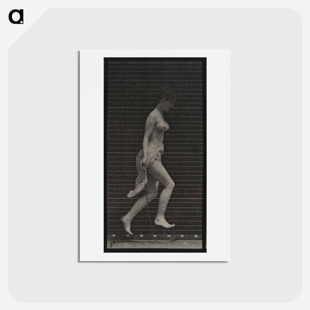 アートポストカード-Skipping Woman
 - エドワード マイブリッジ Postcard.