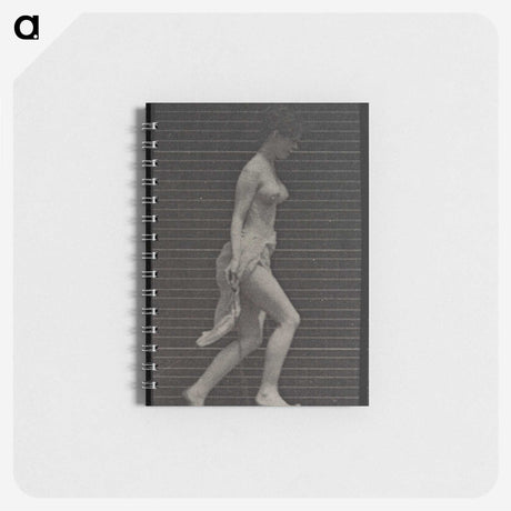 1-33_Eadweard-Muybridge_memo