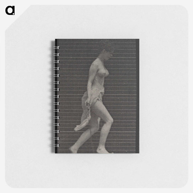 1-33_Eadweard-Muybridge_memo