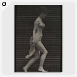 1-33_Eadweard-Muybridge_picture-crop
