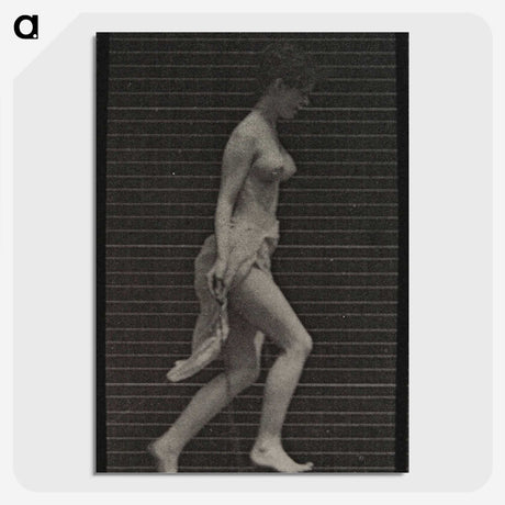 1-33_Eadweard-Muybridge_picture-crop