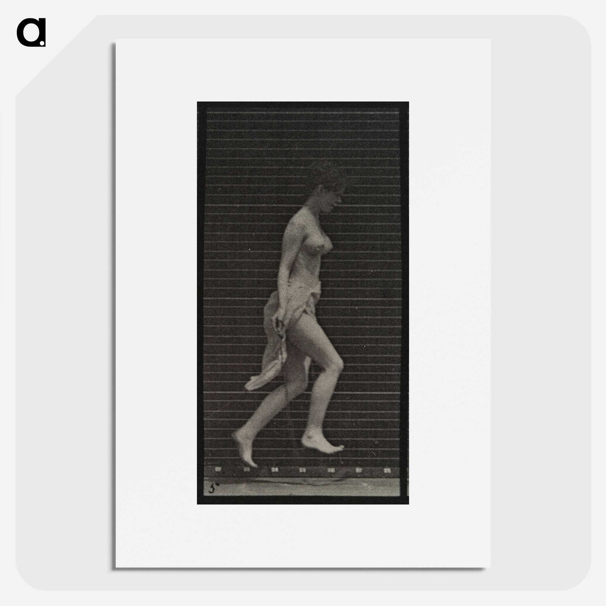1-33_Eadweard-Muybridge_picture