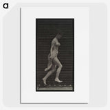 1-33_Eadweard-Muybridge_picture