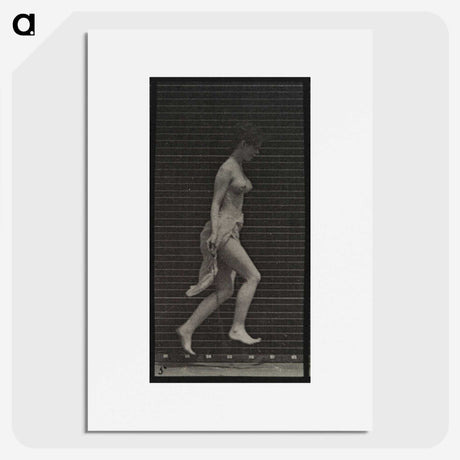 1-33_Eadweard-Muybridge_picture