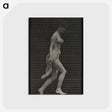 1-33_Eadweard-Muybridge_postcard
