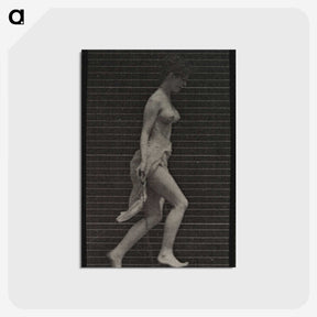 1-33_Eadweard-Muybridge_postcard