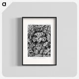 1-33_Ernst-Haeckel_blk