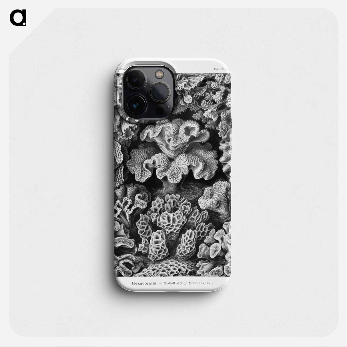 Hexacoralla–Sechsstrahlige Sternkorallen - エルンスト ヘッケル Phone Case.