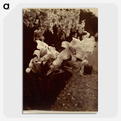 1-33_Eugene-Atget_picture-crop