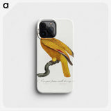 1-33_Francois-Levaillant_phone