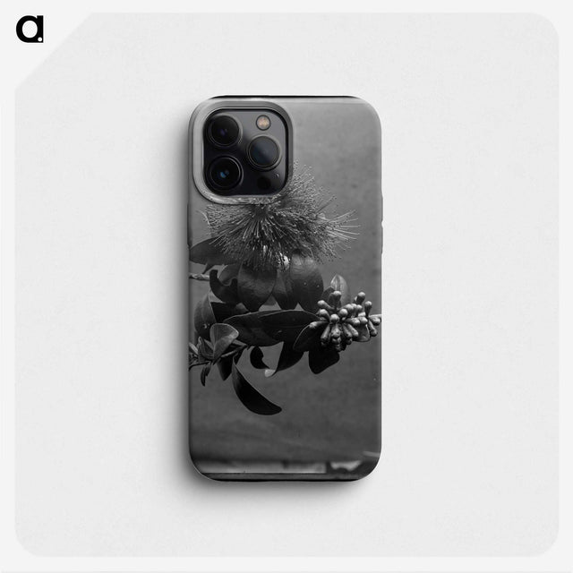 1-33_Frederick-Charles-Brockett_phone