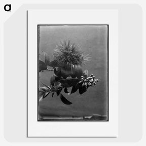 1-33_Frederick-Charles-Brockett_picture