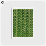 1-33_Furuya-Korin_hagaki