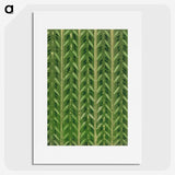 1-33_Furuya-Korin_picture