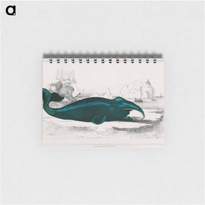 アートメモ帳-Whale
 - ゴールドスミスの生き生きとした自然 Memo.
