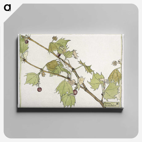 1-33_Hannah-Borger-Overbeck_canvas