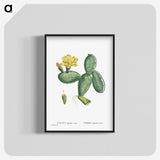 1-33_Histoire-des-Plantes-Grasses_blk-crop