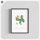 1-33_Histoire-des-Plantes-Grasses_blk