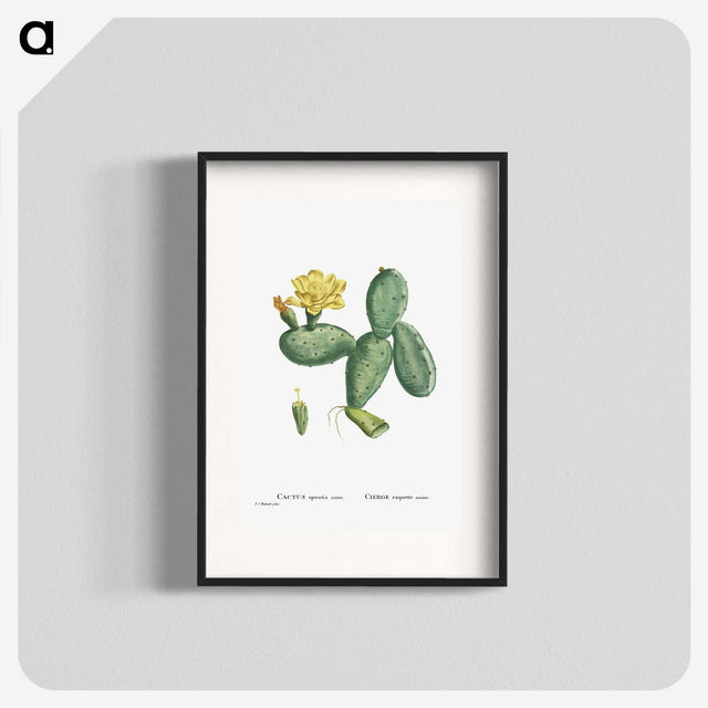 1-33_Histoire-des-Plantes-Grasses_blk