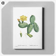 1-33_Histoire-des-Plantes-Grasses_canvas