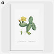 1-33_Histoire-des-Plantes-Grasses_picture