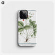1-33_Hortus-Romanus-Botanical-Plates_phone