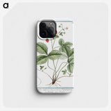 1-33_Hortus-Romanus-Botanical-Plates_phone