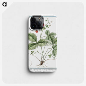 1-33_Hortus-Romanus-Botanical-Plates_phone