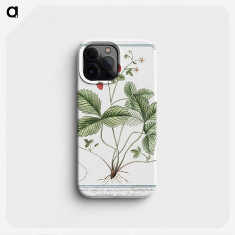 1-33_Hortus-Romanus-Botanical-Plates_phone
