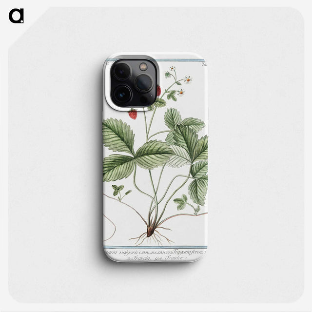 1-33_Hortus-Romanus-Botanical-Plates_phone