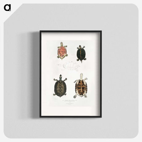 1-33_Indian-Zoology_blk