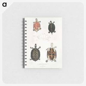 1-33_Indian-Zoology_memo