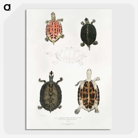 1-33_Indian-Zoology_picture-crop