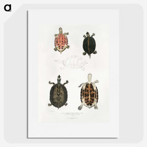1-33_Indian-Zoology_picture