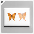 1-33_Insects-Unlocked-Project_canvas