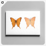 1-33_Insects-Unlocked-Project_canvas