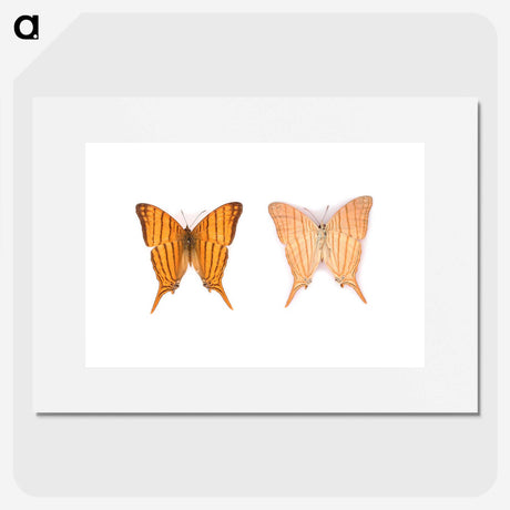 1-33_Insects-Unlocked-Project_picture
